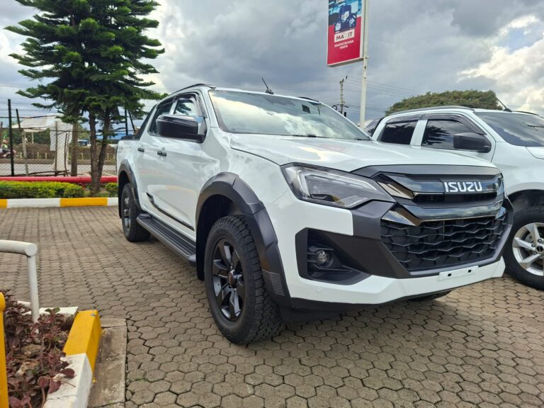 Isuzu D-Max Single Cab 2WD